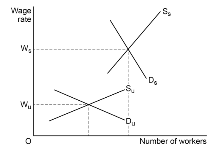 6. The Labour Market | AQA A Level Economics Topic Questions 2017
