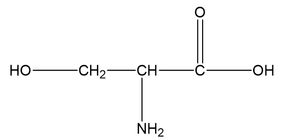 Biological Molecules | CIE IGCSE Biology Topic Questions 2023