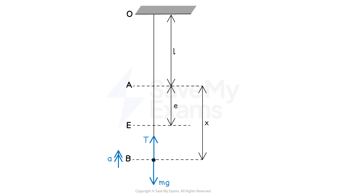a particle accelerating upwards attached to a stretched string. Forces and distances labelled.