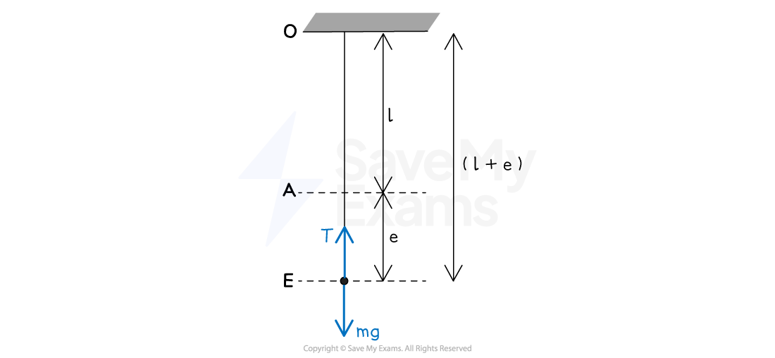 A string in equilibrium, with forces and distances labelled