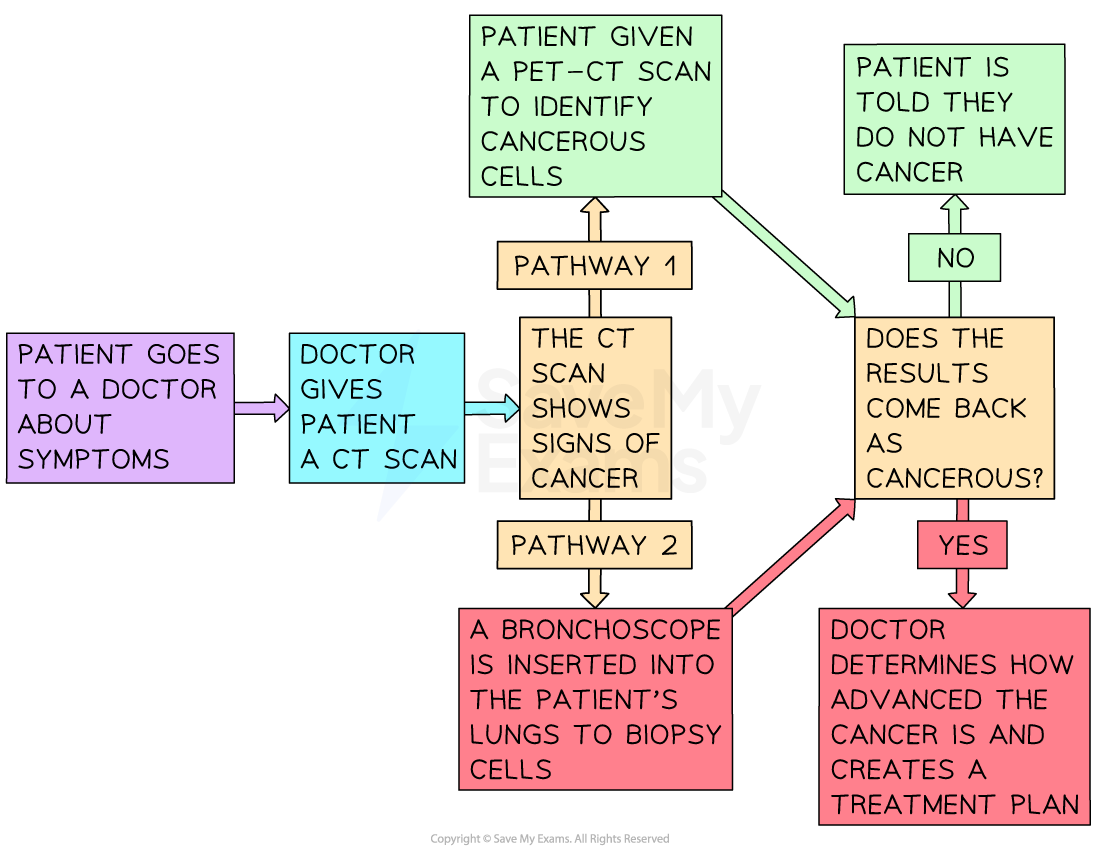 Lung Cancer Case Study Edexcel GCSE History Revision Notes 2018