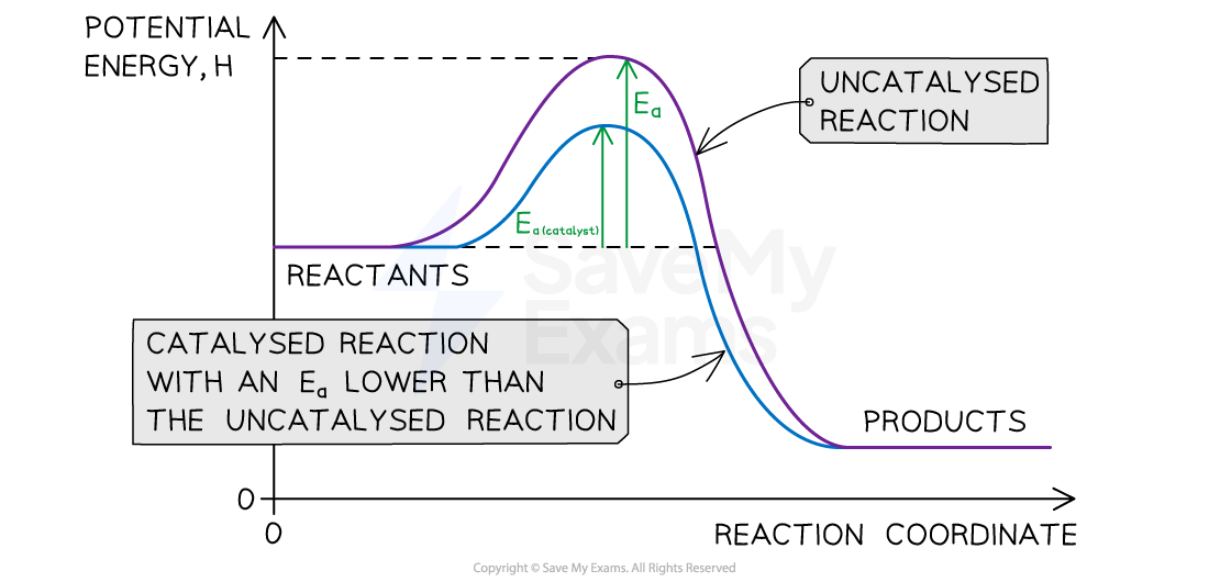Thermodynamic & Kinetic Control | College Board AP Chemistry Revision ...