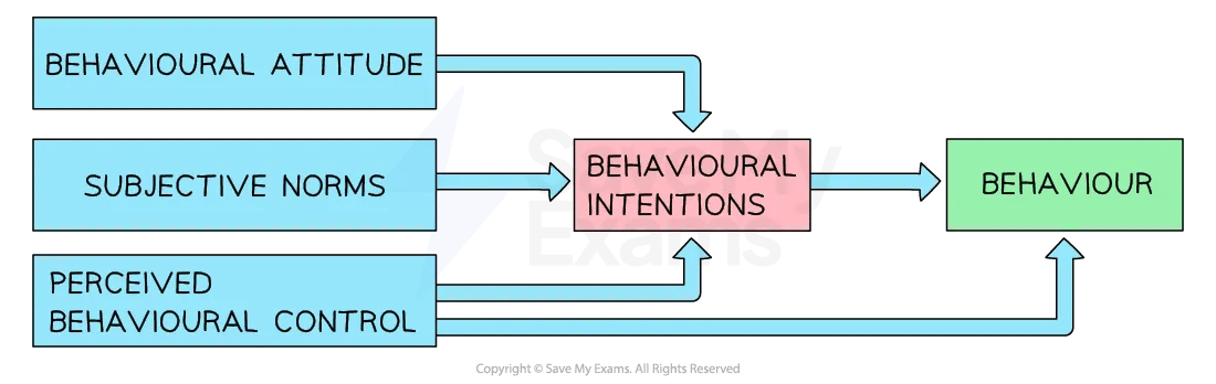 The Theory of Planned Behaviour | AQA A Level Psychology Revision Notes ...