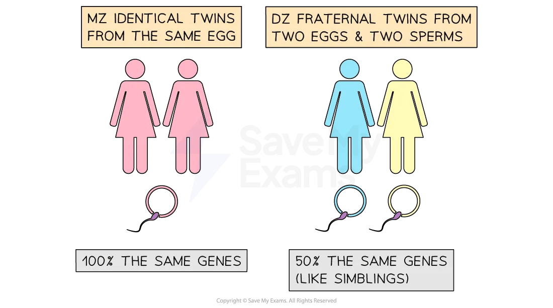 4-genetic-neural-explanations-of-offending-behaviour-01 for AQA A Level Psychology