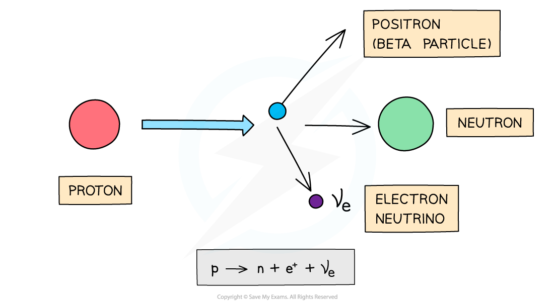 Beta plus decay diagram, downloadable AS & A Level Physics revision notes