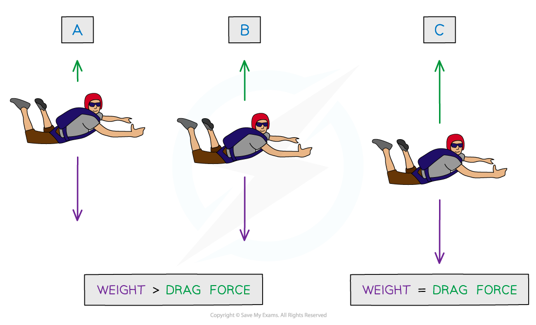 Terminal Velocity diagram (1), downloadable AS & A Level Physics revision notes