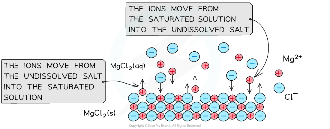 Equilibria - Equilibrium between Ionic Compound and Saturated Solution, downloadable AS & A Level Chemistry revision notes