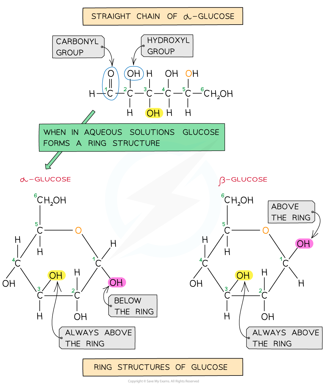 Glucose Structure A Level Biology Revision Notes