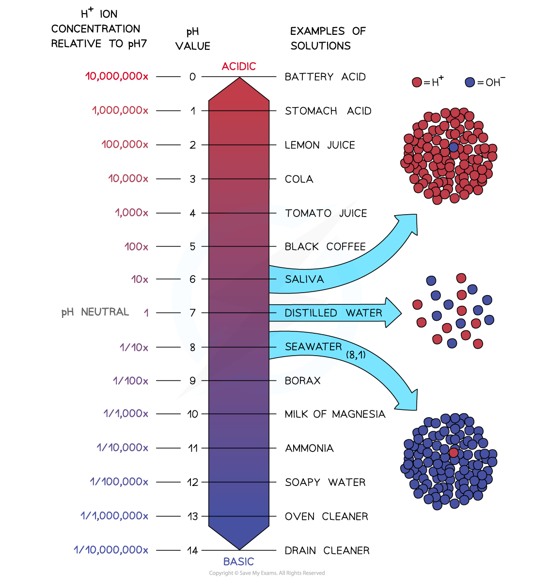 Logarithmic-Ph-Scale, downloadable AS & A Level Biology revision notes