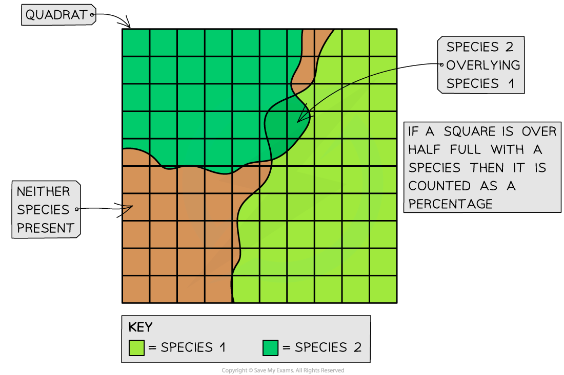 Percentage Cover in Quadrats