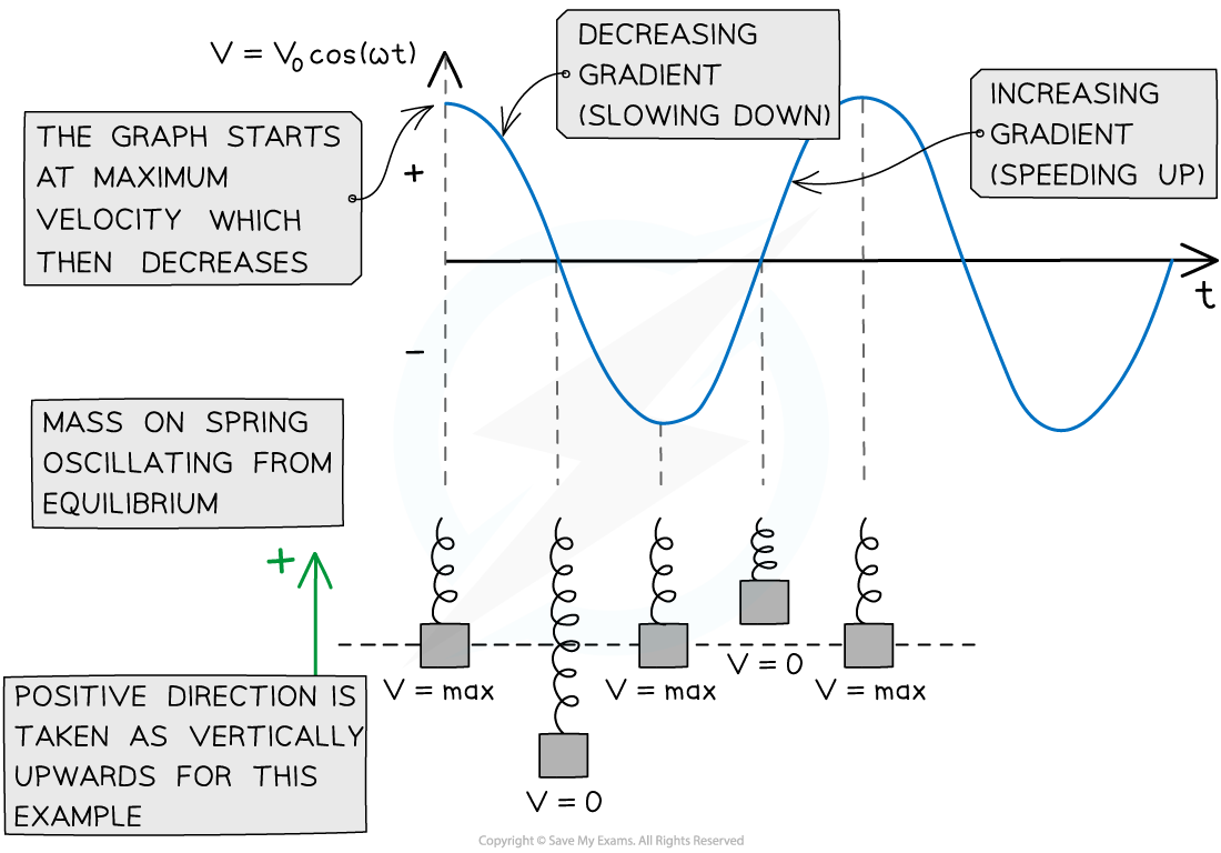 Speed SHM graph, downloadable AS & A Level Physics revision notes