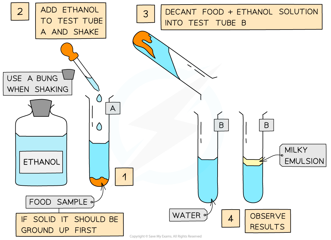 Test For Lipids A Level Biology Revision Notes