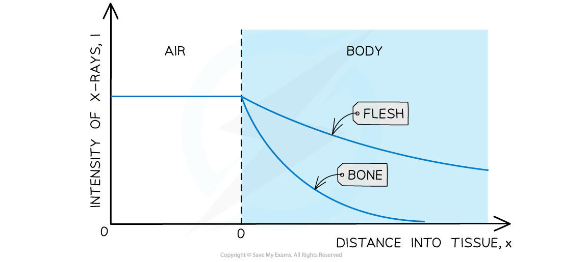 Attenuation of X-rays, downloadable AS & A Level Physics revision notes