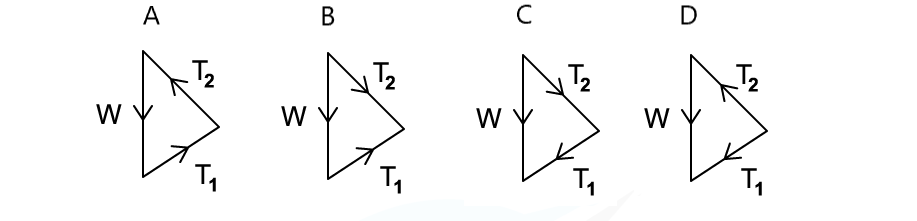 WE - Forces in equilibrium question image 2, downloadable AS & A Level Physics revision notes