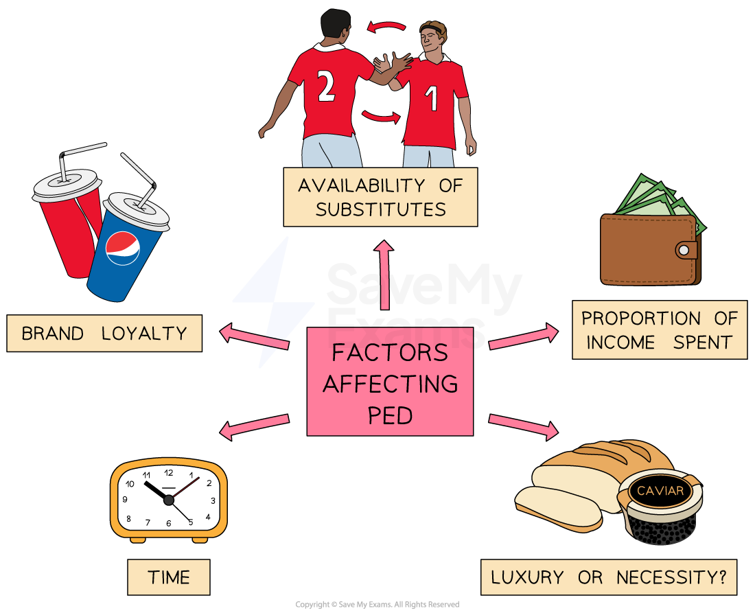 Diagram illustrating factors affecting Price Elasticity of Demand (PED): brand loyalty, substitutes, income spent, time, and luxury versus necessity.