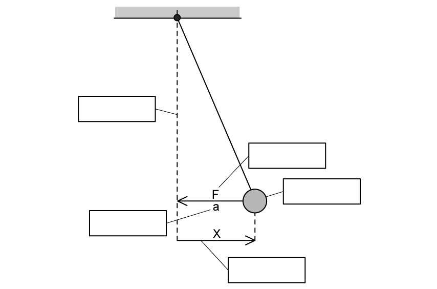 17-1-1d-e-shm-diag-label-esq-cie-a-level