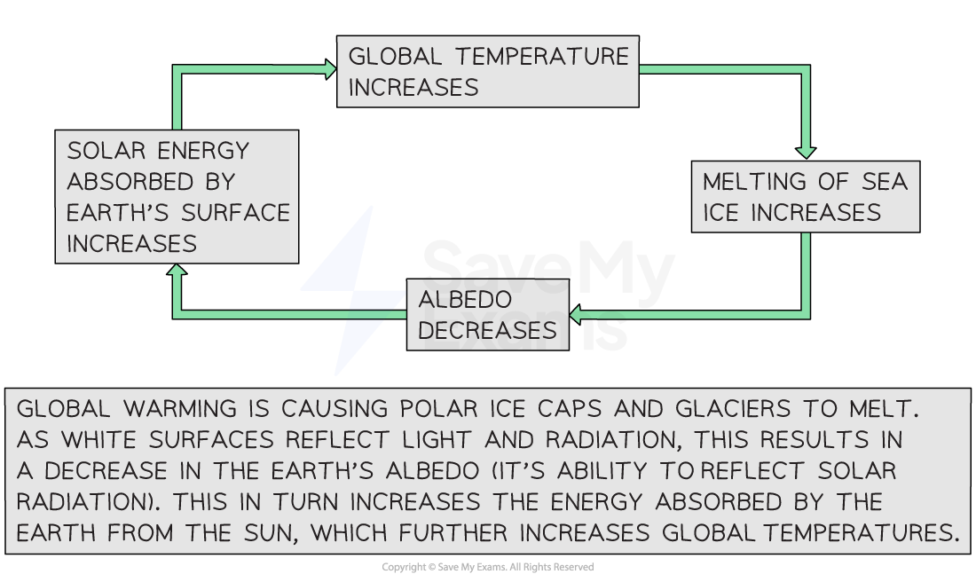 Diagram showing how positive feedback loops triggered by global warming are increasing the rate at which the ice caps are melting