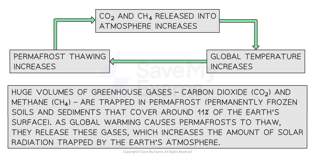 Diagram showing how positive feedback loops triggered by human-induced global warming are increasing the rate at which further greenhouse gases are released from permafrost