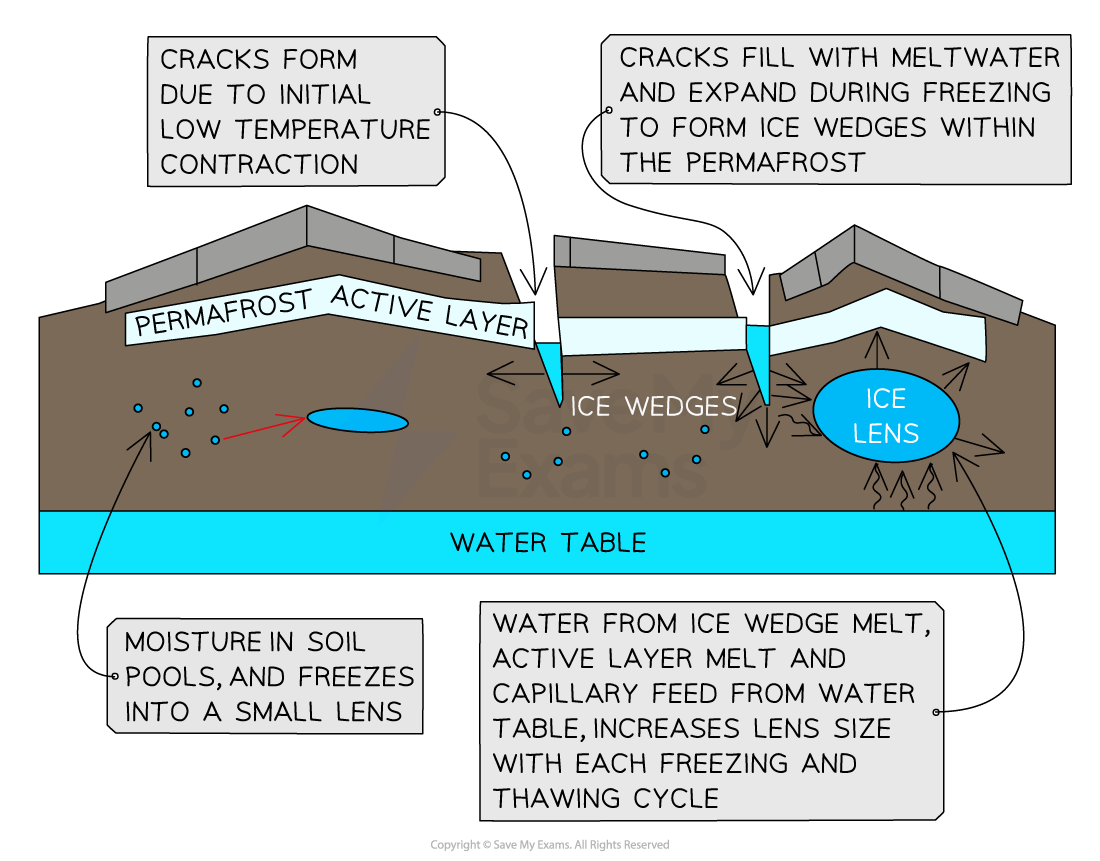 Cold Environment Processes IB Geography Revision Notes Cold Environment Processes IB Geography Revision Notes