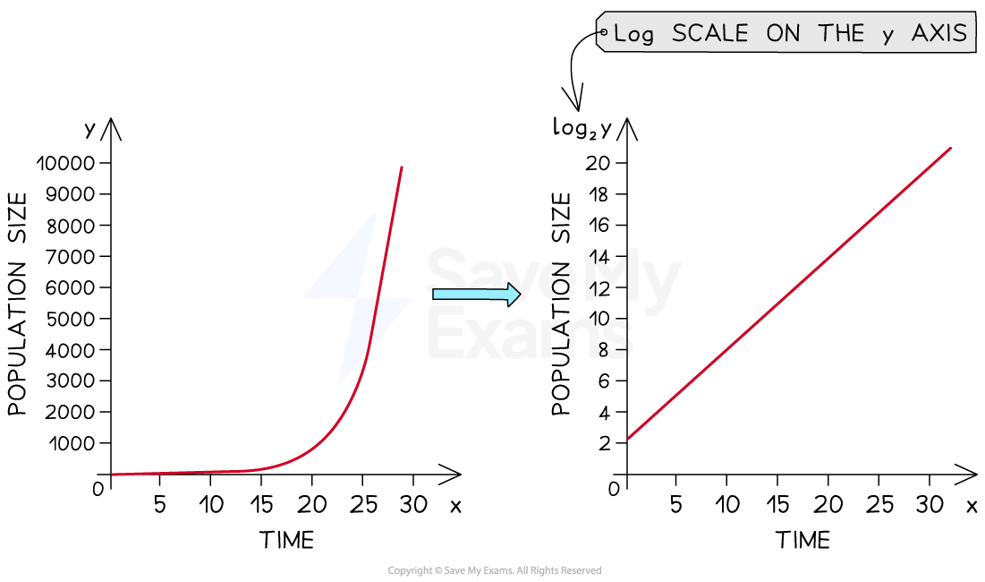 -exponential-growth-logarithmic-scale