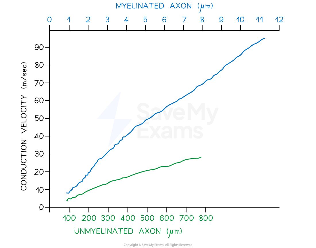 comparing-speed-of-transmission