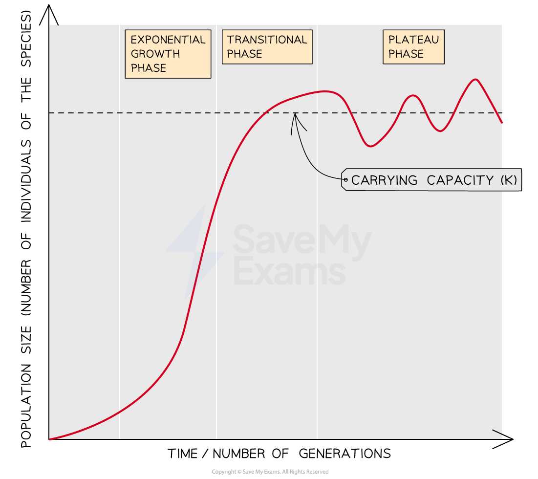 population-growth-curve-sigmoid-logistic