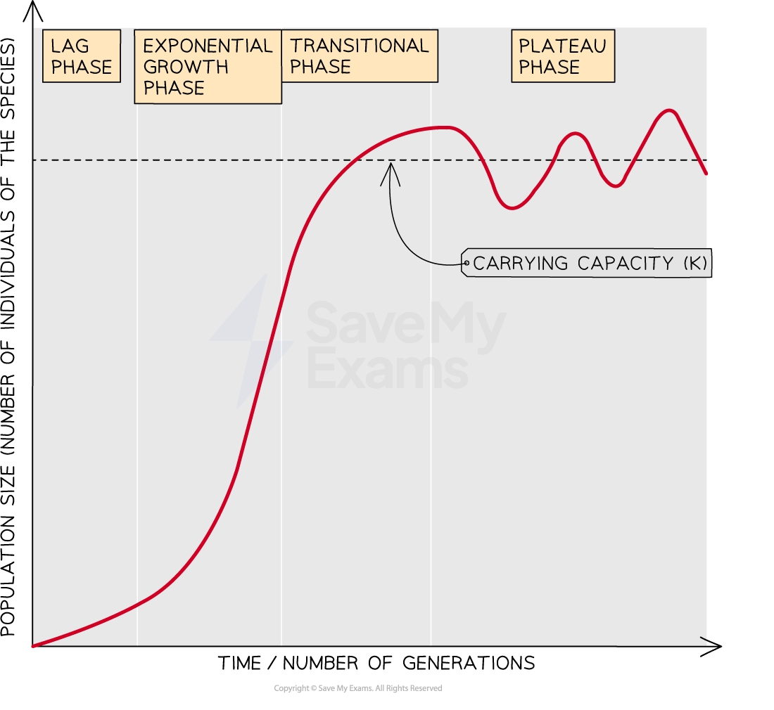 population growth curve showing carrying capacity