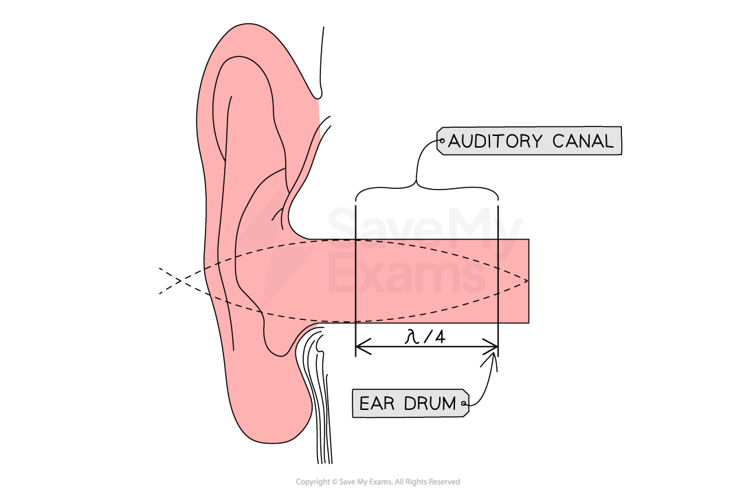 10-2-2-auditory-canal-resonance