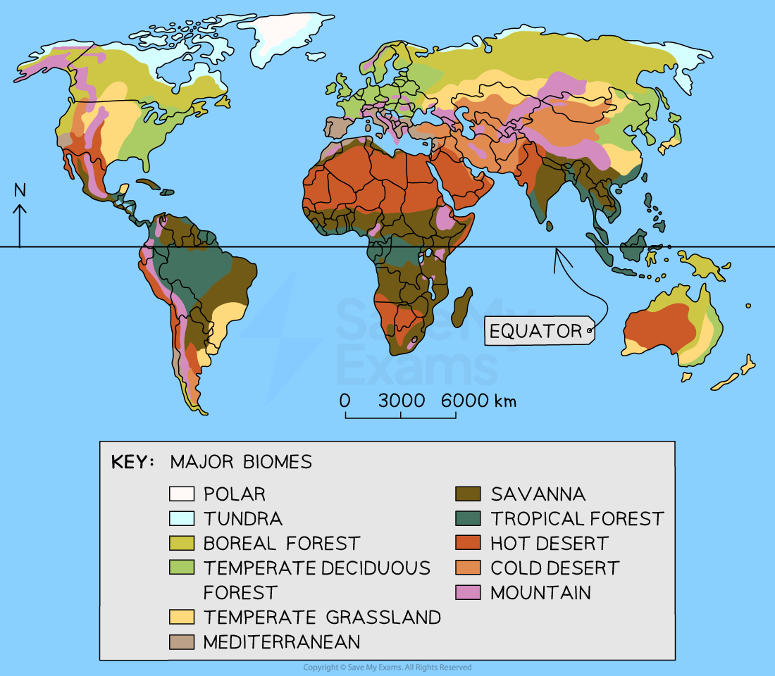 Map showing the distribution of different types of terrestrial biomes on Earth