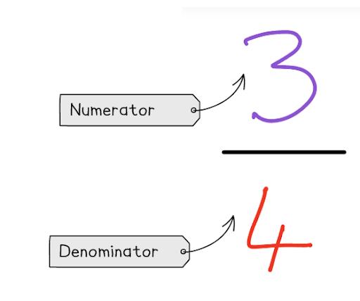 numberator-and-denominator-of-a-fraction--seo-physics-article