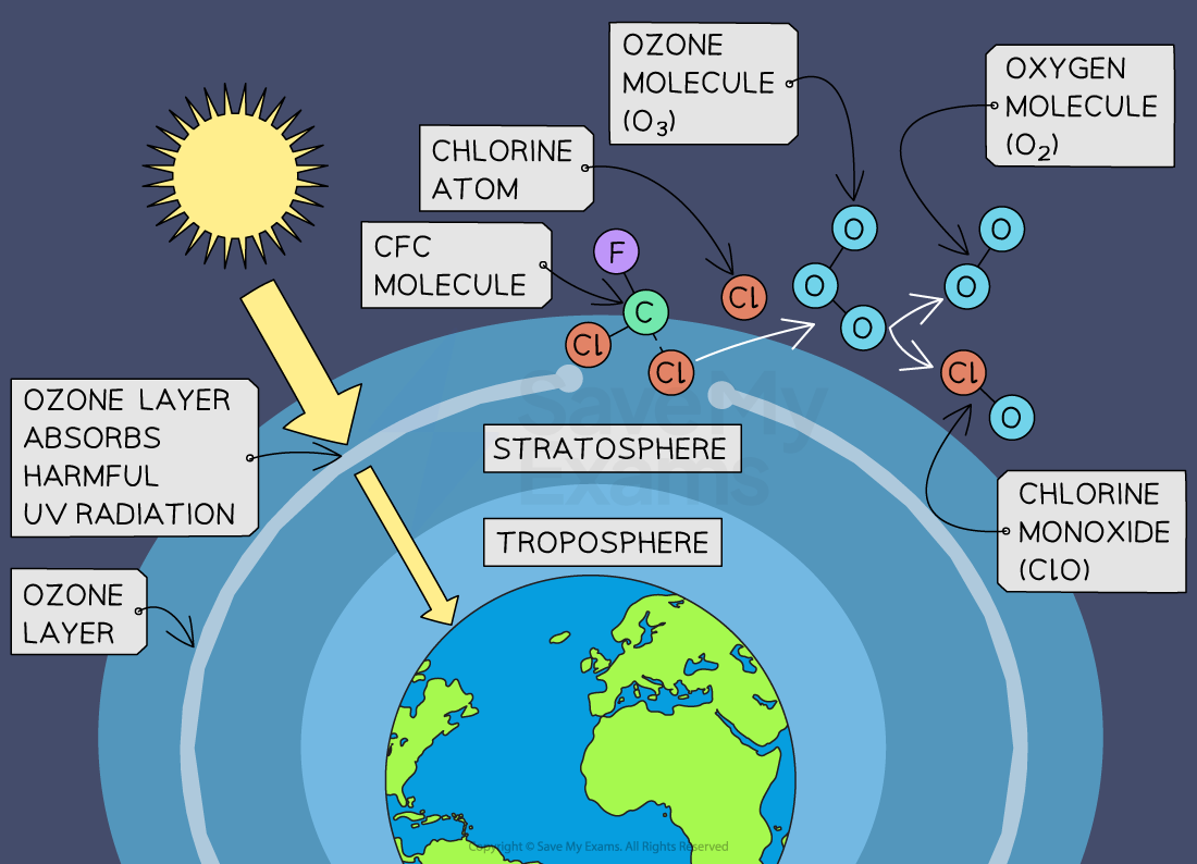 Diagram showing how CFCs cause ozone depletion