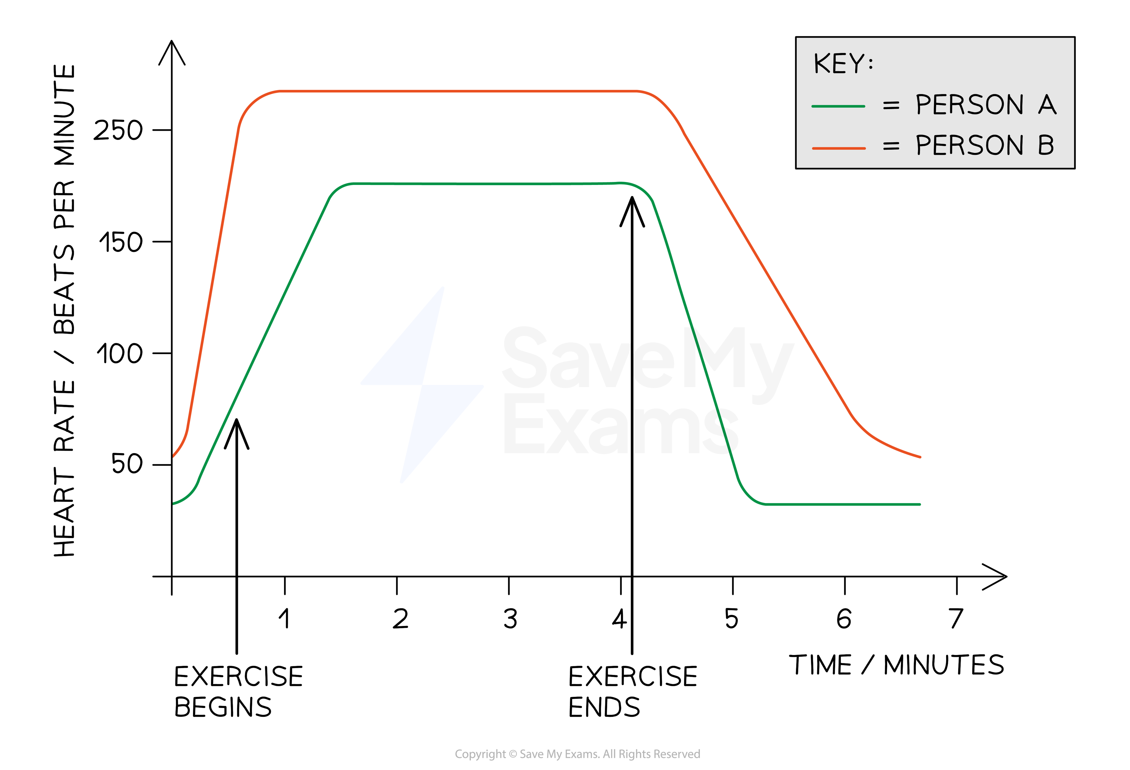 Cardiac Output Stroke Volume Heart Rate AQA GCSE Physical Cardiac Output Stroke Volume Heart Rate AQA GCSE Physical
