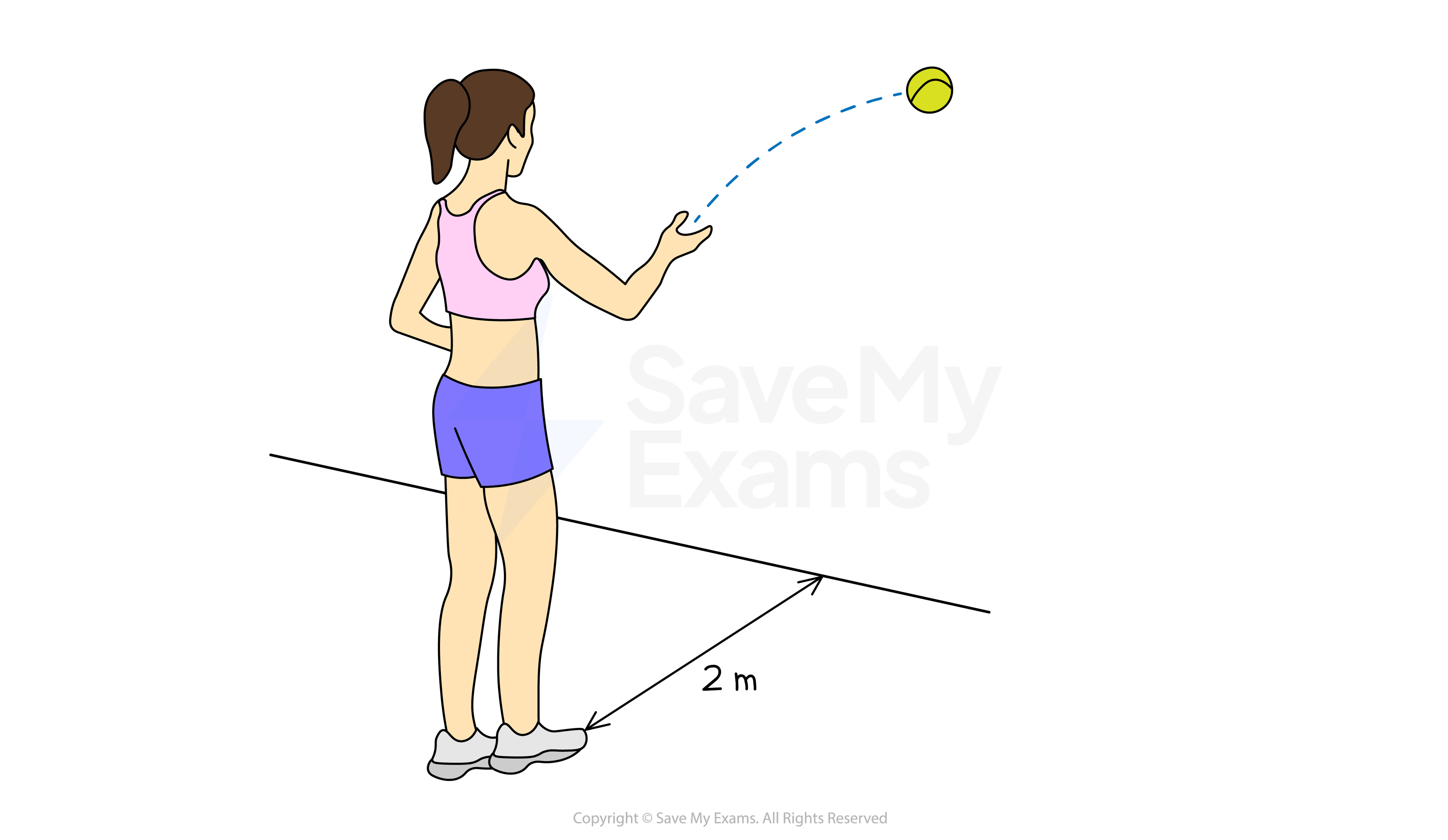 CAPITAL SPORTS Epitomer Wall Bal - Balon Ejercicio, Fitness Ball Con Costuras Resistentes, Balones Medicinales De Cuero Sintético, Forro Exterior, Superficie Manejable, Peso 8 Kg, Púrpura