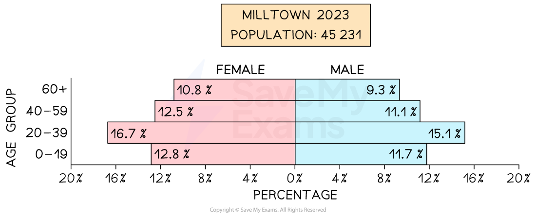 An example of a population pyramid