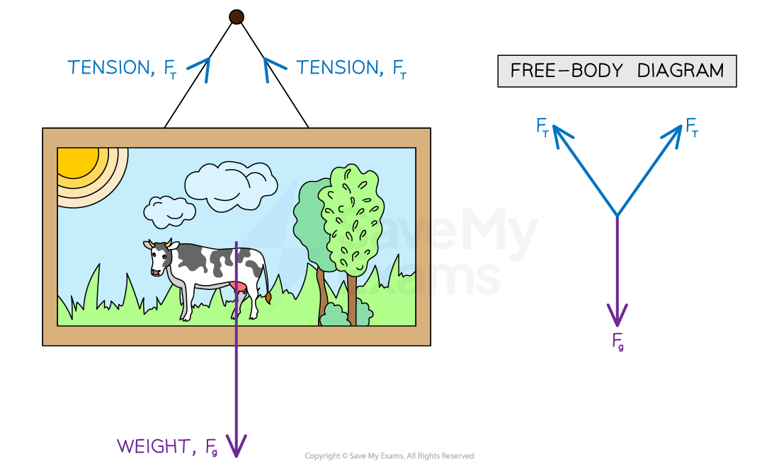 A framed picture of a cow hanging from two cords with equal tension (Ft). The weight (Fg) is balanced by the tensions. Includes a free-body diagram.