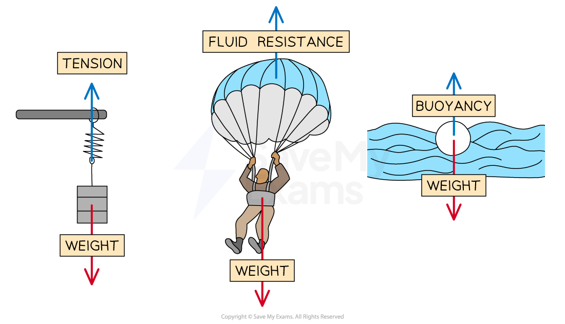 Free Body Diagrams AP Physics 1 Study Guide
