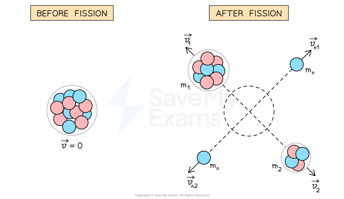 Fission of a uranium nucleus. Before fission, the uranium nucleus is stationary. After fission, a heavier nucleus of mass m1 moves with velocity v1 in the opposite direction to a lighter nucleus with mass m2 and velocity v2. At right angles to the nuclei, two neutrons of mass mn move in opposite directions with velocities vn1 and vn2 respectively