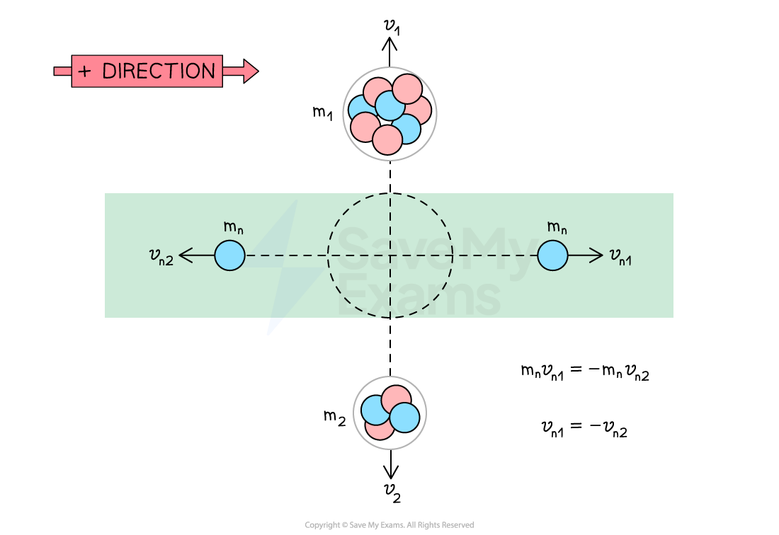 Deducing the component of the momenta in the direction of the neutrons.  The positive direction is defined to the right. Neutrons have equal mass so they must have equal and opposite velocities.