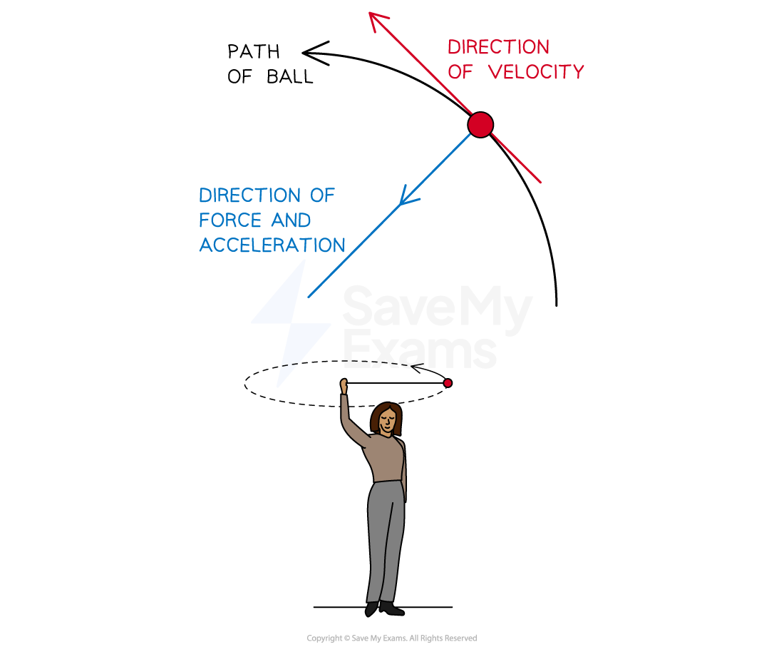 The forces on a ball in circular motion. An arrow indicates the direction of velocity, another shows the force and acceleration, and a person demonstrates the motion.