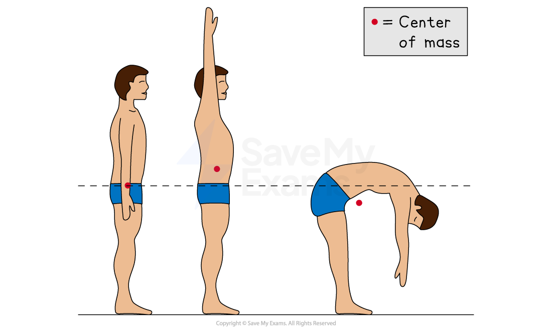 Diagram showing a person in three poses: standing, reaching up, and bending forward, with a label indicating the center of mass shifts.