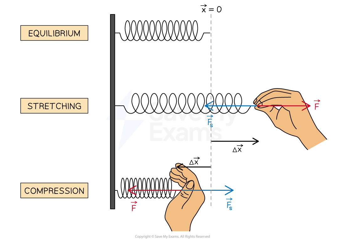 Diagram showing forces on a spring in three states: equilibrium, stretching,  and compression. Arrows indicate applied force (F), spring force (Fs) and change in length (Δx)