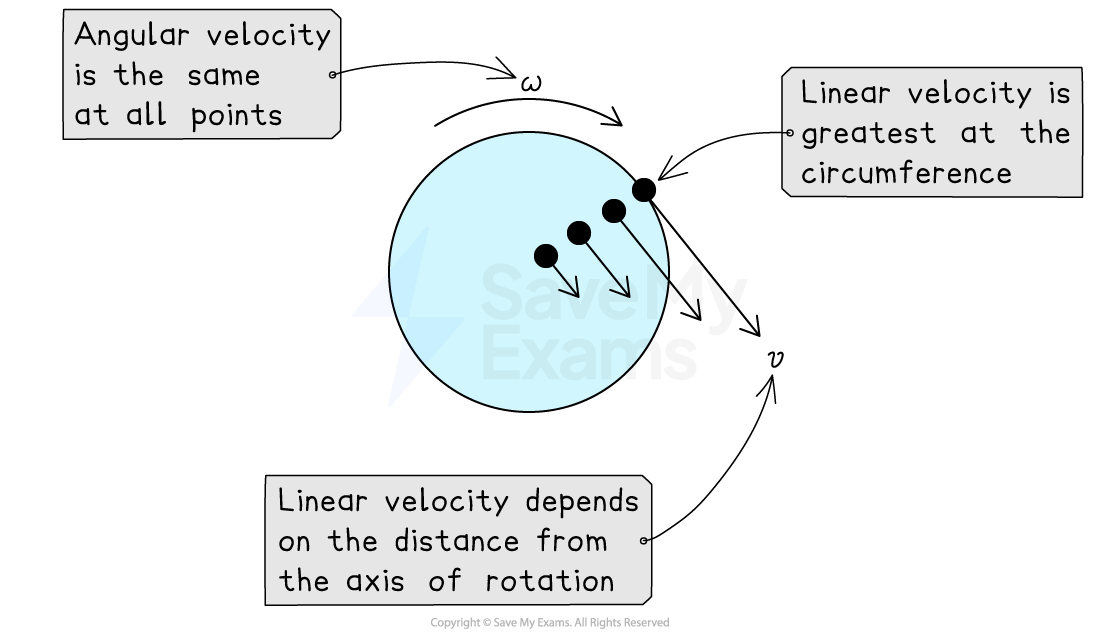 Diagram of a rotating circle showing angular velocity (ω) as constant. Linear velocity (v) varies with distance from the axis, greatest at the circumference.