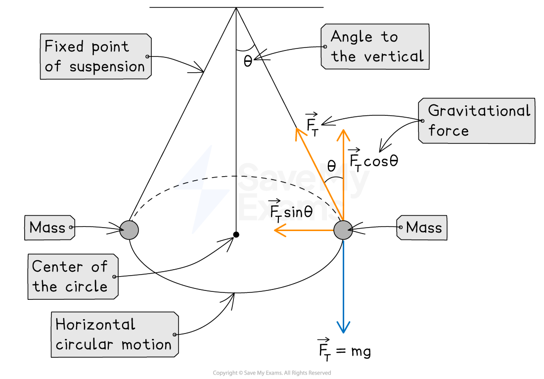 A pendulum showing forces: tension (F_T) acting at an angle θ, with its components F_T cos θ (vertical) and F_T sin θ (horizontal), and weight (F_g = mg) acting downward.