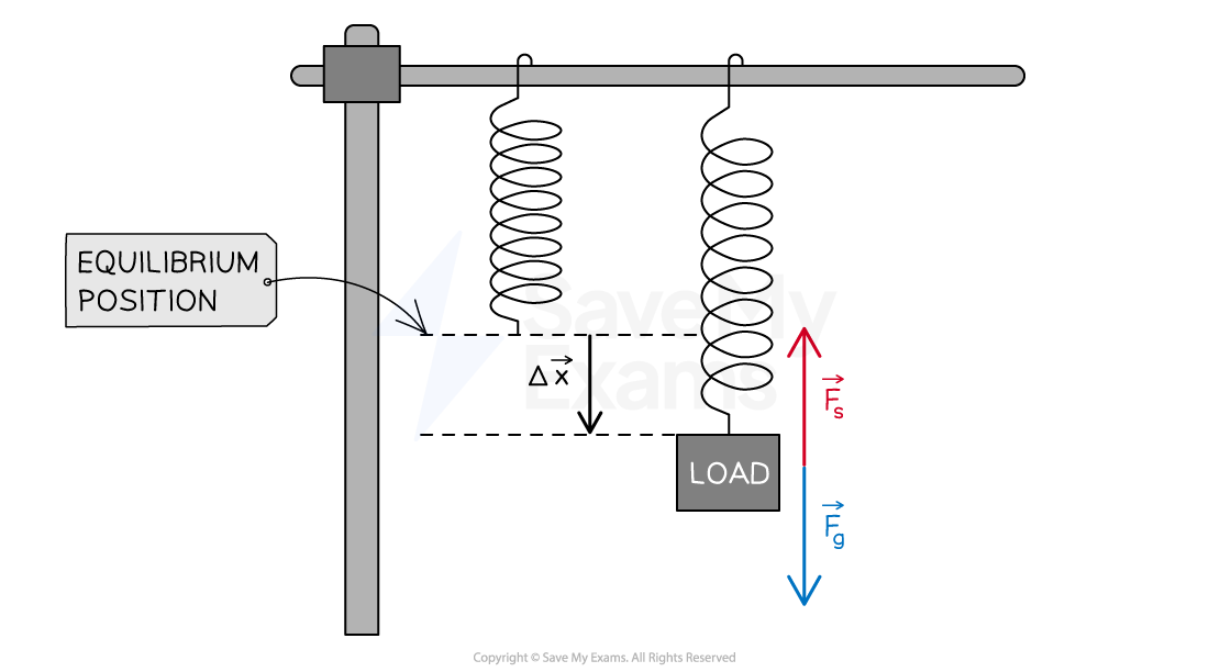 Diagram showing a spring system with a load hanging from it, labeled with equilibrium position, displacement (Δx), spring force (Fs) upwards, and weight (Fg) downwards.