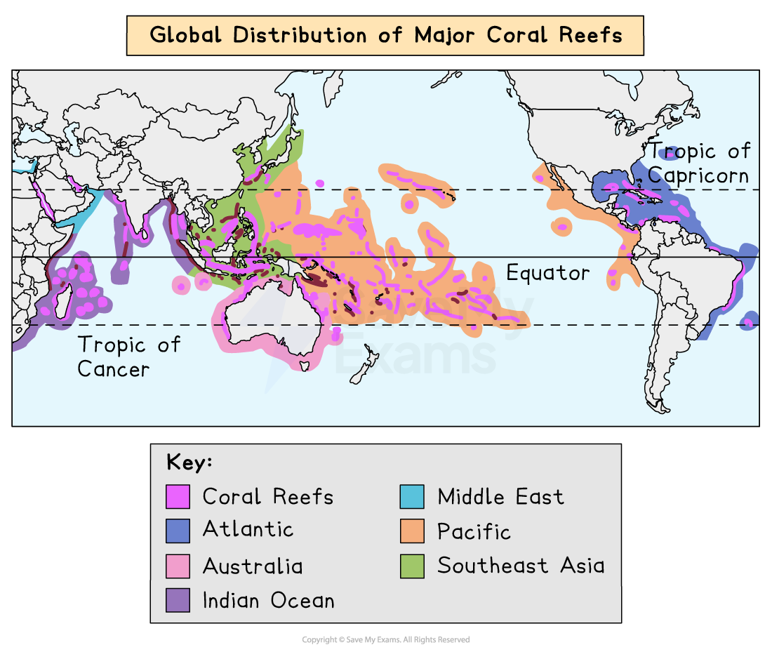 Coral Reefs Mangroves Cambridge CIE IGCSE Geography Revision 
