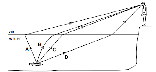 Diagram showing light refraction in water. A man stands on a cliff observing angles of light, labelled A to D, refracting from a fish underwater.