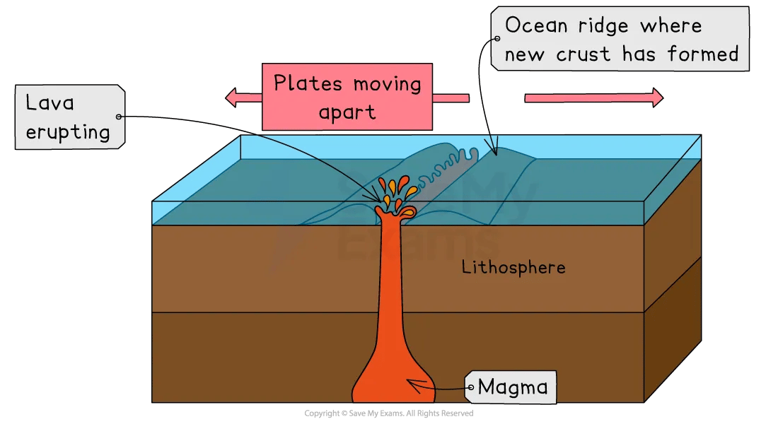 Cutaway diagram showing ocean ridge formation. Magma rises, forming new crust as tectonic plates move apart. Labels: "Lava Erupting," "Lithosphere," "Magma."