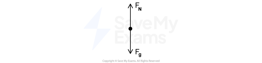 Diagram of a force diagram on graph paper, showing a dot with two opposing arrows labelled "Fn" upwards and "Fg" downwards, representing normal and gravitational forces.