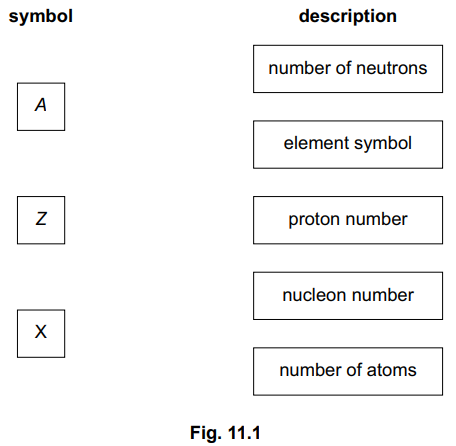 Table with symbols 'A', 'Z', 'X' and descriptions: number of neutrons, element symbol, proton number, nucleon number, number of atoms. Fig. 11.1.