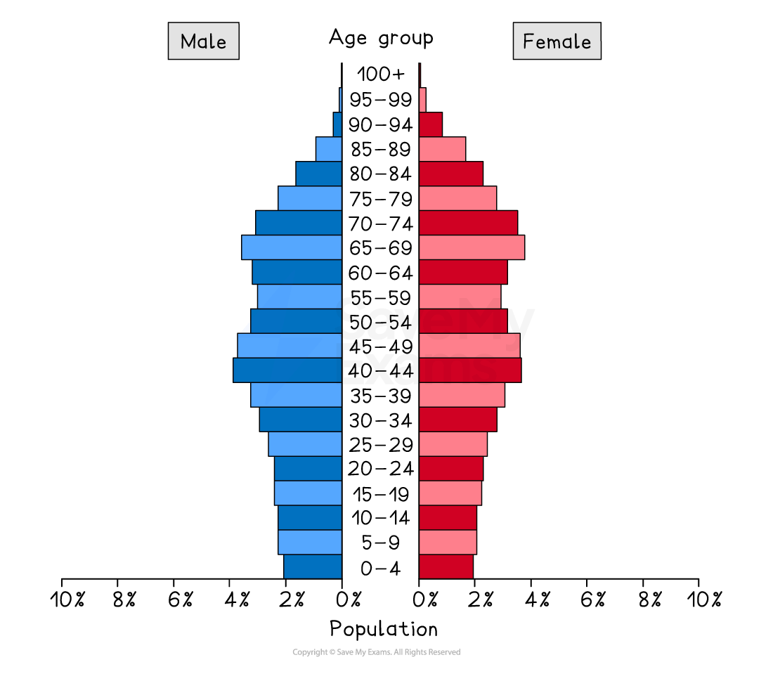 Population pyramid showing age distribution by gender: males in blue and females in red. Ages range from 0-4 to 100+, percentages on horizontal axis.